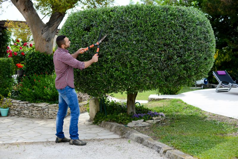 Professional shrub trimming in action