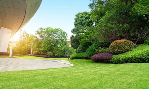 Commercial Shrub Trimming in American Fork
