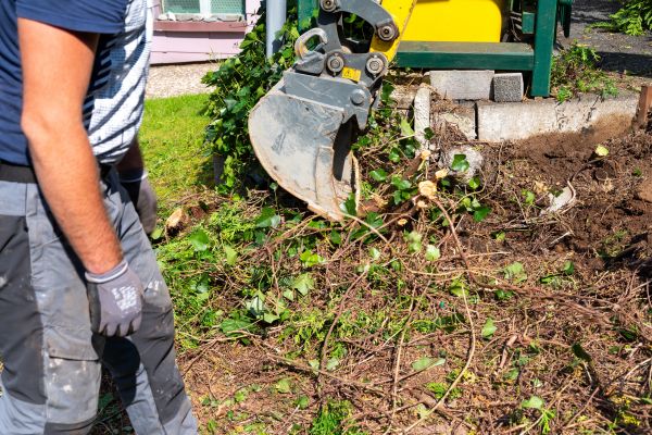 Hedge Removal Service in American Fork