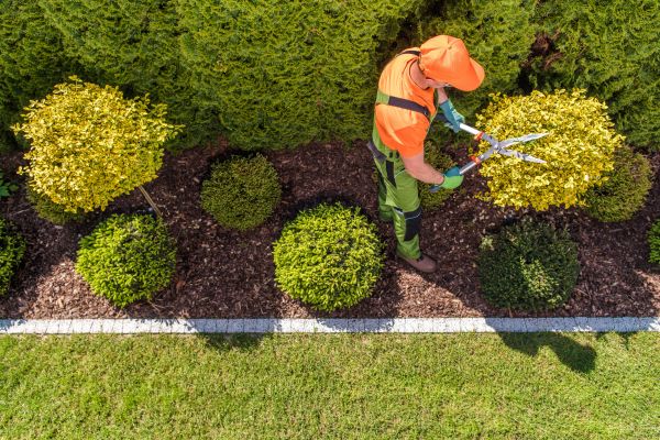 Topiary Trimming in American Fork