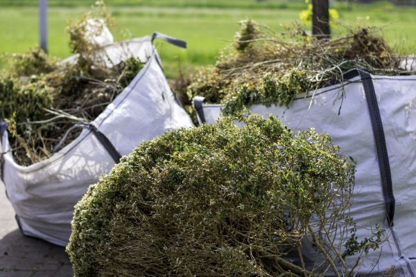 Shrubs Removal in American Fork