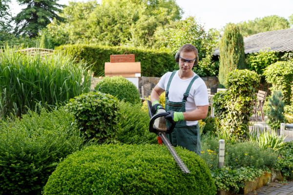 Shrubs Trimming in American Fork