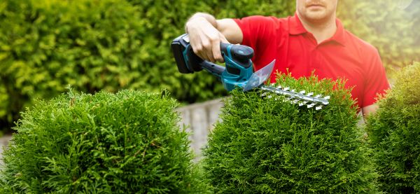 Hedge Shaping Service in American Fork